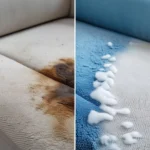 0g 27763a6e905803de7bcb76df1284ff50 webp